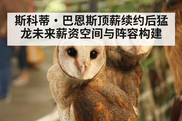 斯科蒂·巴恩斯顶薪续约后猛龙未来薪资空间与阵容构建